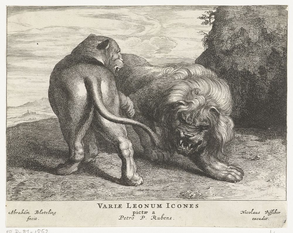 Leeuw met leeuwin (1655 - 1690) by Abraham Bloteling, Peter Paul Rubens and Nicolaes Visscher I