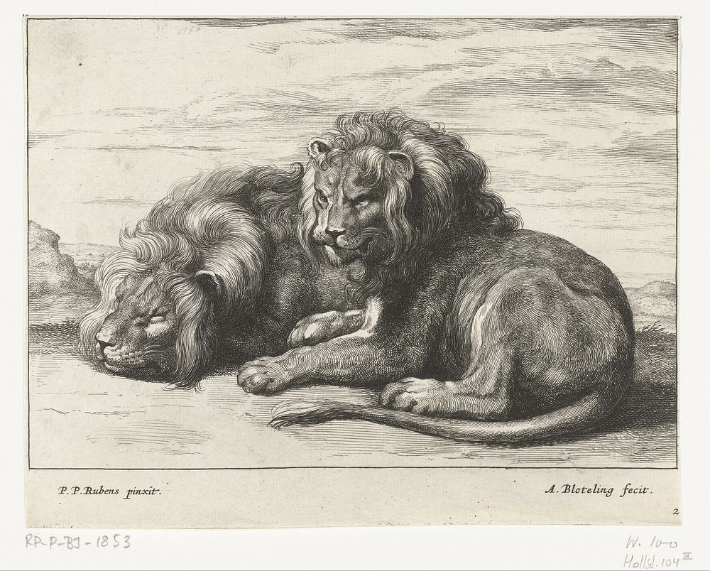 Twee liggende leeuwen (1655 - 1690) by Abraham Bloteling, Peter Paul Rubens and Nicolaes Visscher I