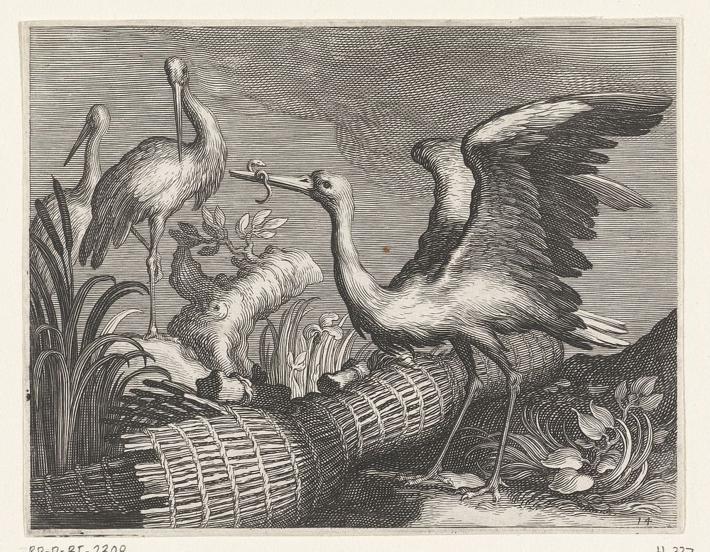 Ooievaars (1611) by Boëtius Adamsz Bolswert, Abraham Bloemaert and Boëtius Adamsz Bolswert