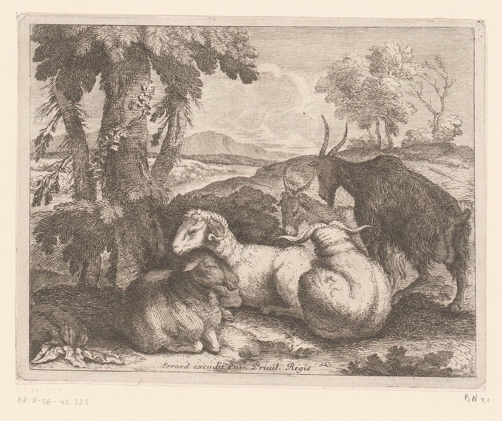 Schapen en geiten onder een boom (1616 - 1689) by Charles II Errard, Charles II Errard and Franse kroon