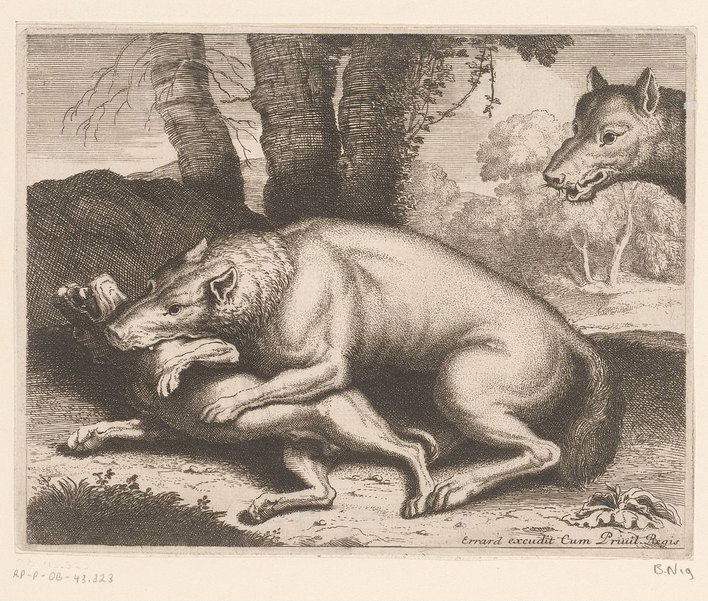 Hond aangevallen door een wolf (1616 - 1689) by Charles II Errard, Charles II Errard and Franse kroon