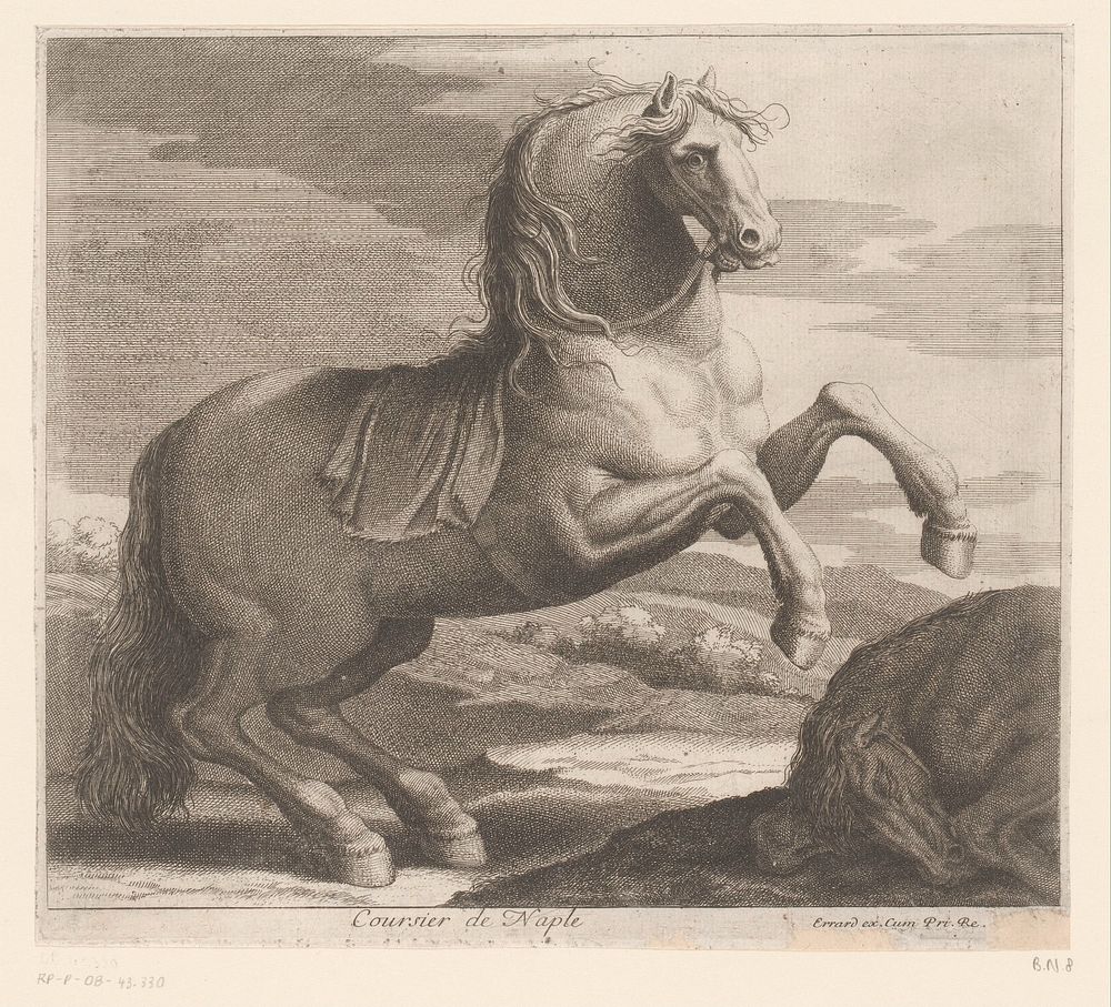 Steigerend paard (1616 - 1689) by Charles II Errard, Charles II Errard and Franse kroon