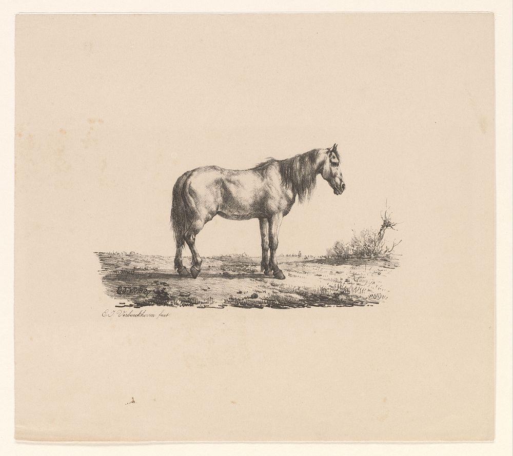 Paard (1827 - c. 1851) by Eugène Verboeckhoven, Eugène Verboeckhoven and Antoine Dewasme Plétinckx