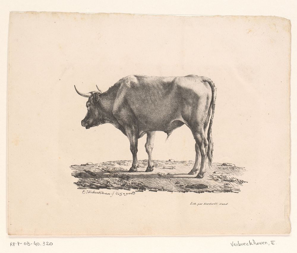 Rund (1825) by Eugène Verboeckhoven and Franciscus Mattheus Jozef Kierdorff