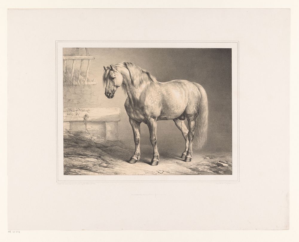 Paard in een stal (1844) by Eugène Verboeckhoven, Pierre Degobert and Frans Buffa en Zonen