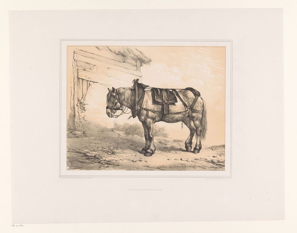 Paard met zadel en halster (1844) by Eugène Verboeckhoven, Pierre Degobert and Frans Buffa en Zonen