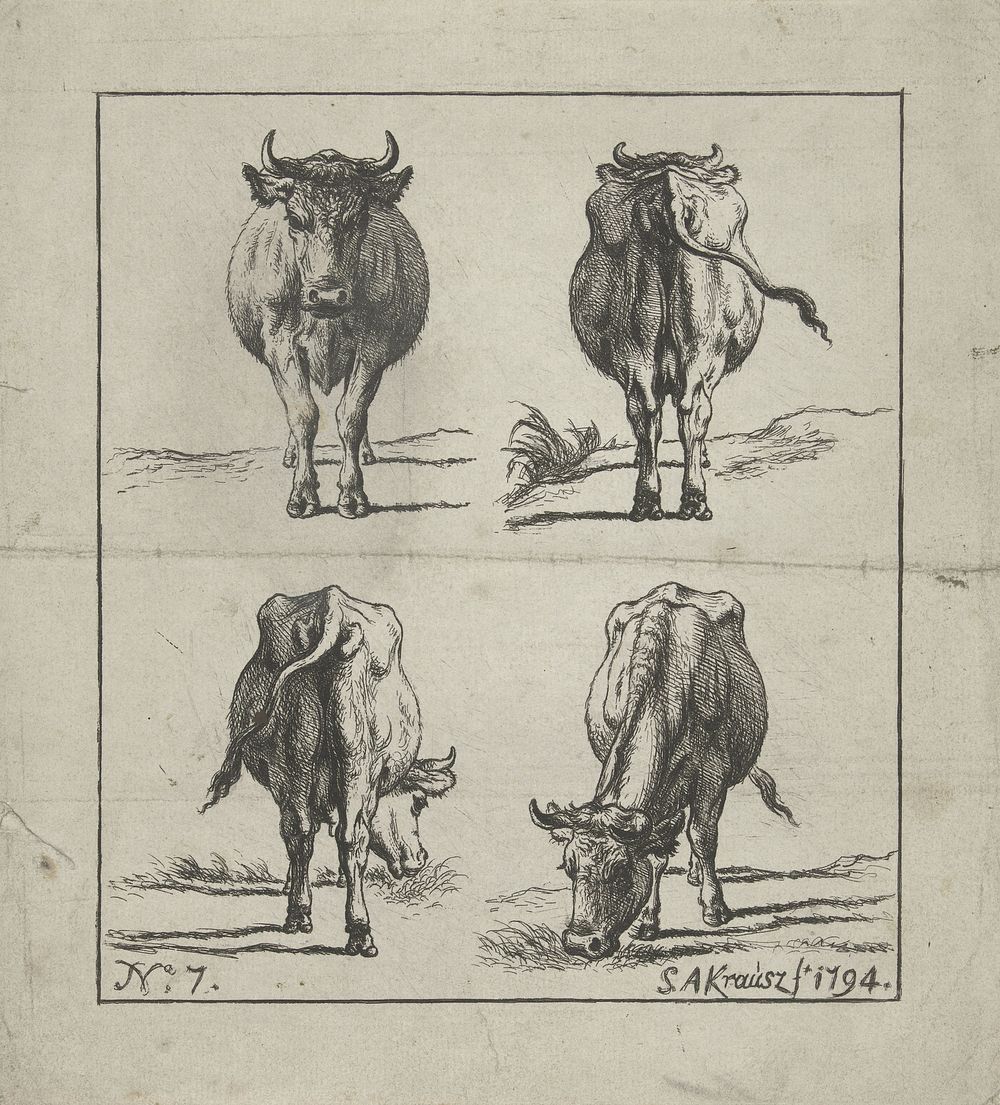 Studie van staande en grazende koeien (1794) by Simon Andreas Krausz