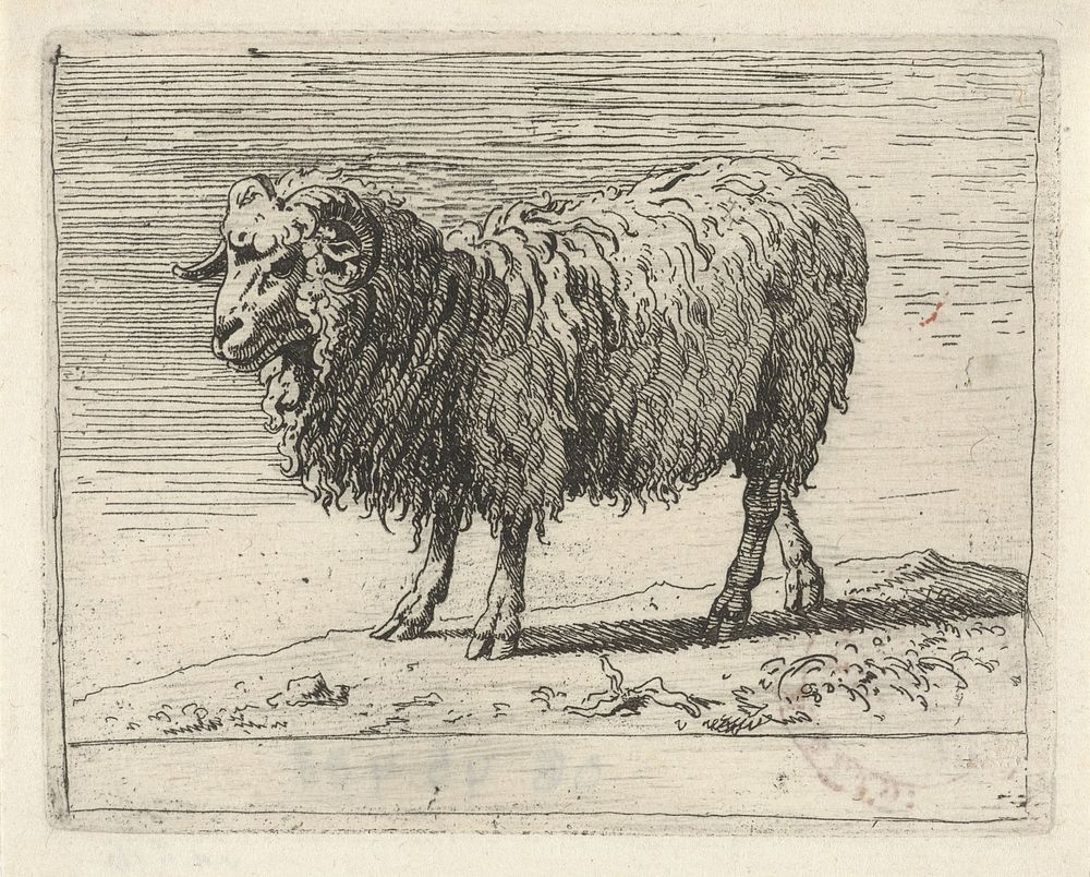 Ram (1655 - 1688) by Govert van der Leeuw