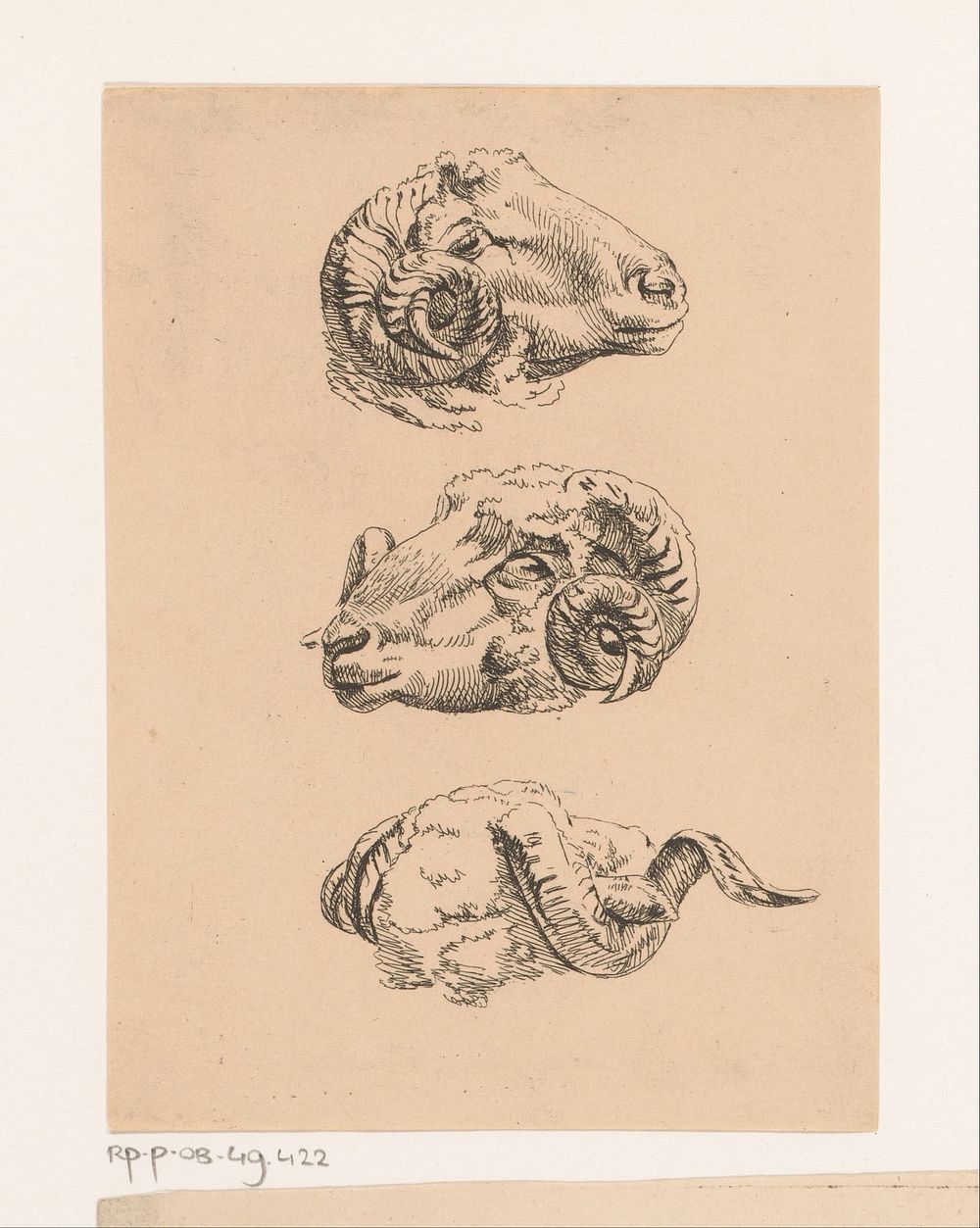 Drie ramskoppen (1840) by Hendrik Jozef Franciscus van der Poorten