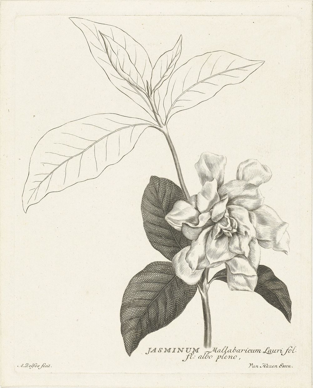Tak van jasmijn met bloem (1741 - 1820) by Abraham Delfos, van Hazen and Dirk Kuipers