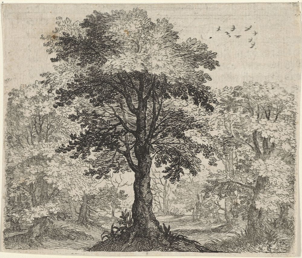 Fabel van de olm en de eik (1608) by Aegidius Sadeler II, Marcus Gheeraerts I, Marcus Gheeraerts I and Aegidius Sadeler II