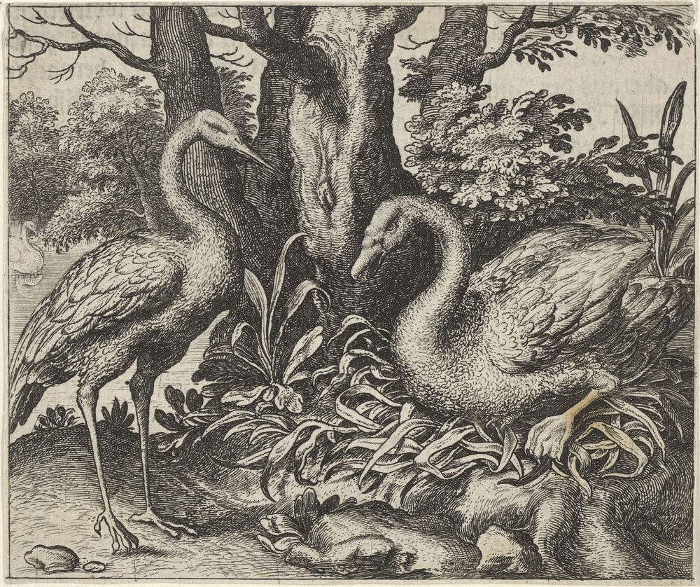 Fabel van de zwaan en de ooievaar (1608) by Aegidius Sadeler II, Marcus Gheeraerts I, Marcus Gheeraerts I and Aegidius…