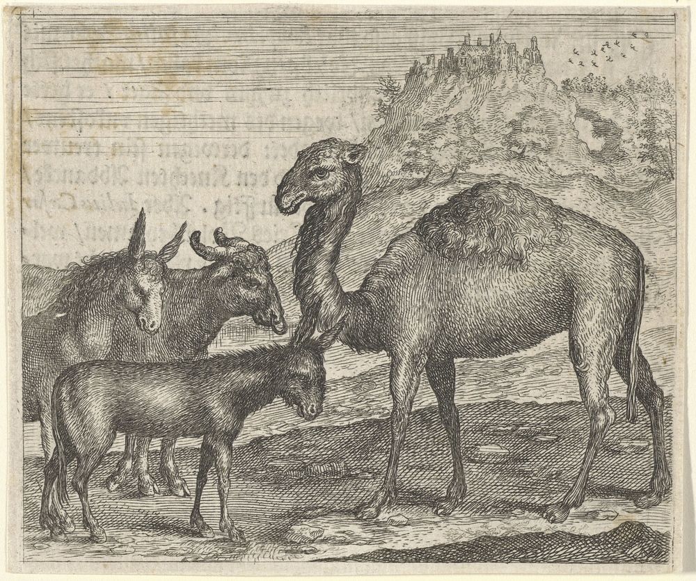 Fabel van de ezel, de buffel de kameel en het muildier (1608) by Aegidius Sadeler II, Marcus Gheeraerts I and Aegidius…