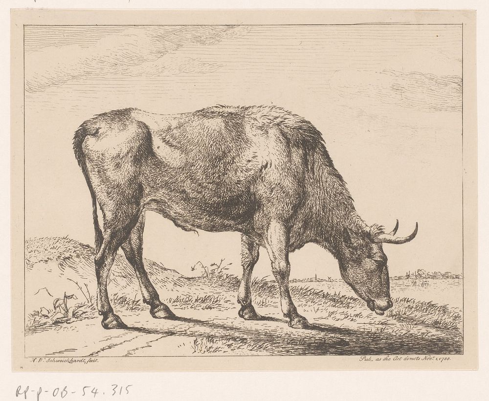 Stier (1788) by Hendrik Willem Schweickhardt and Hendrik Willem Schweickhardt