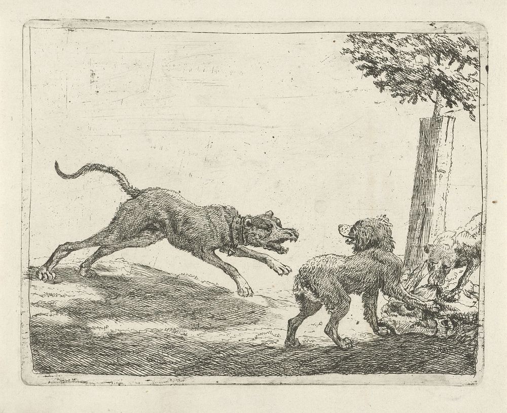 Drie honden bij een karkas (1654) by Pauwels van Hillegaert