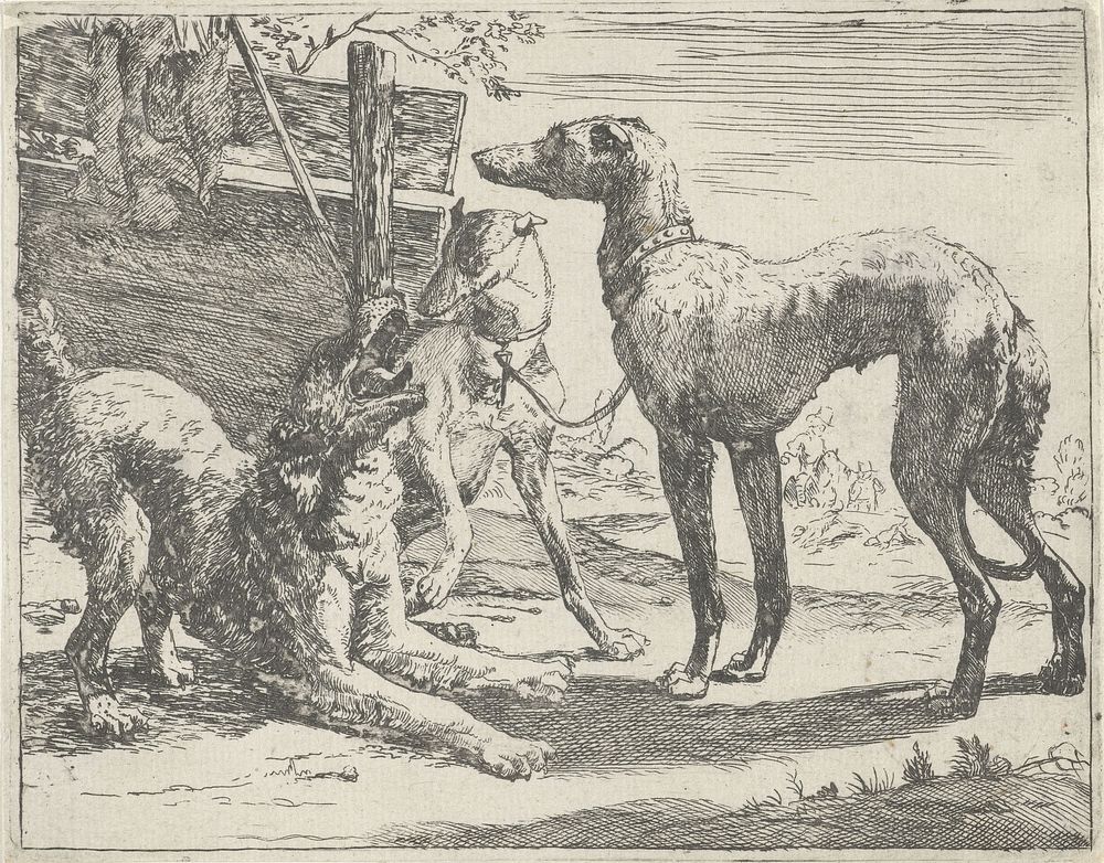 Drie honden (1654) by Pauwels van Hillegaert