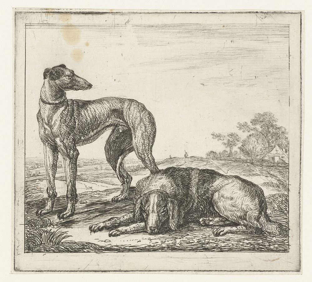 Hazewindhond en jachthond (1610 - 1653) by Simon de Vlieger and Simon de Vlieger