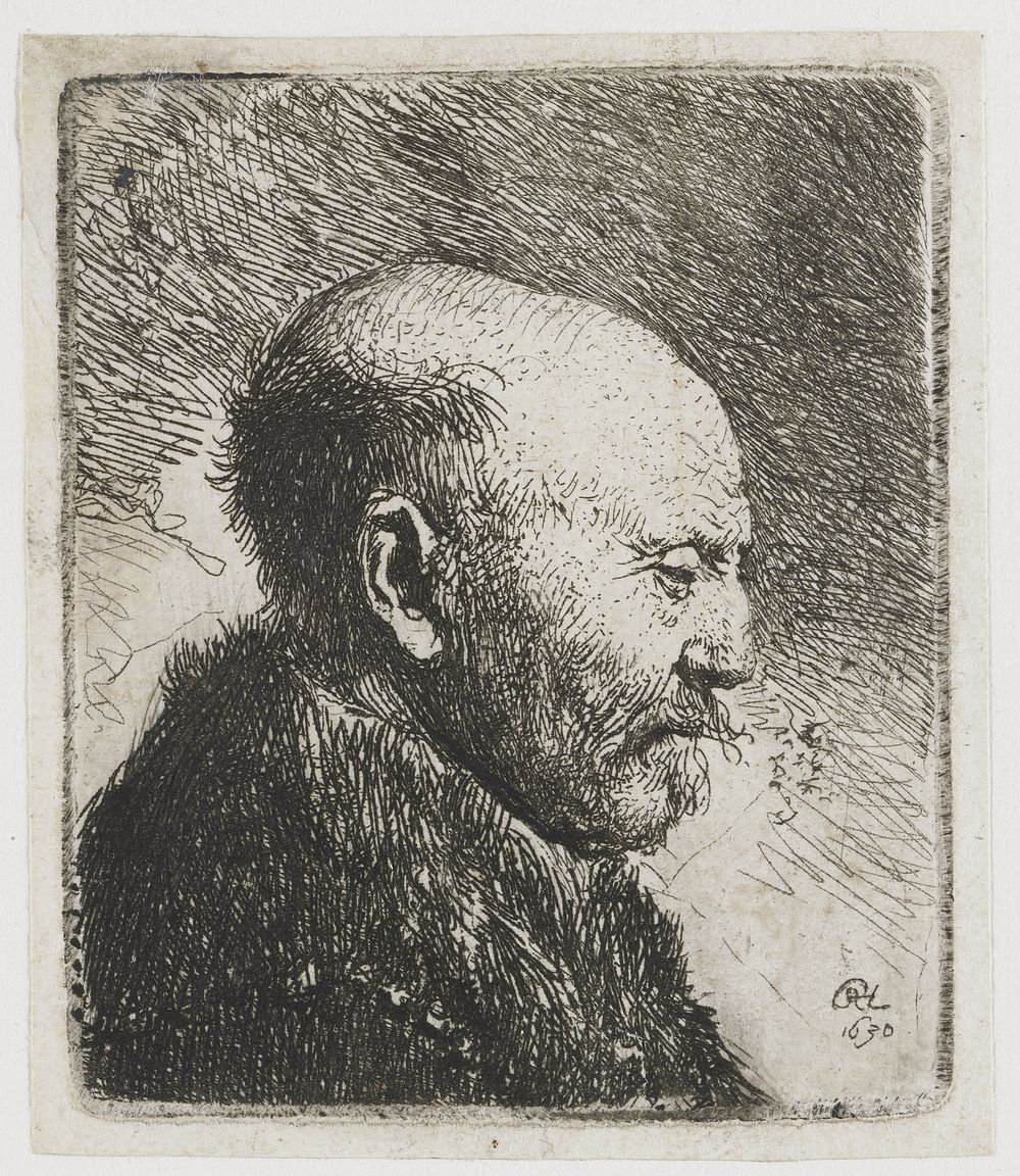 Bald-headed Man in Profile (1630) by Rembrandt van Rijn and Rembrandt van Rijn