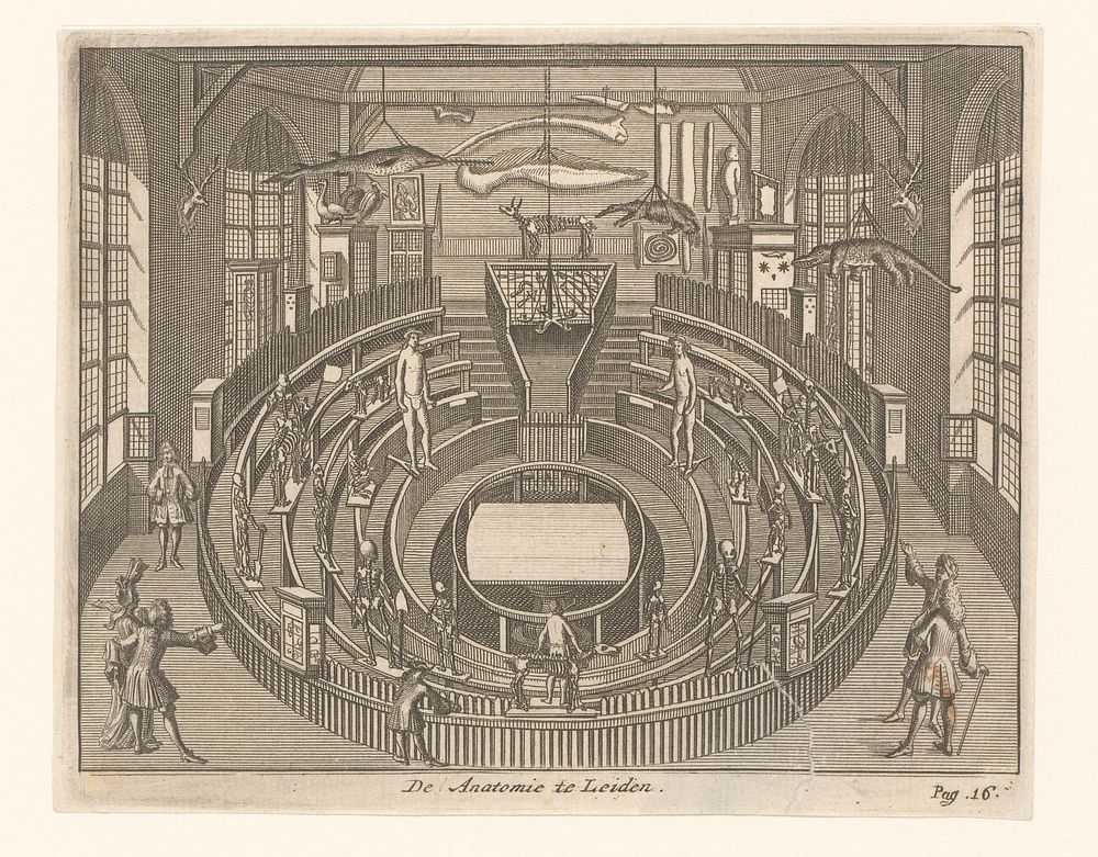 Gezicht op de Anatomiezaal te Leiden (c. 1726) by anonymous