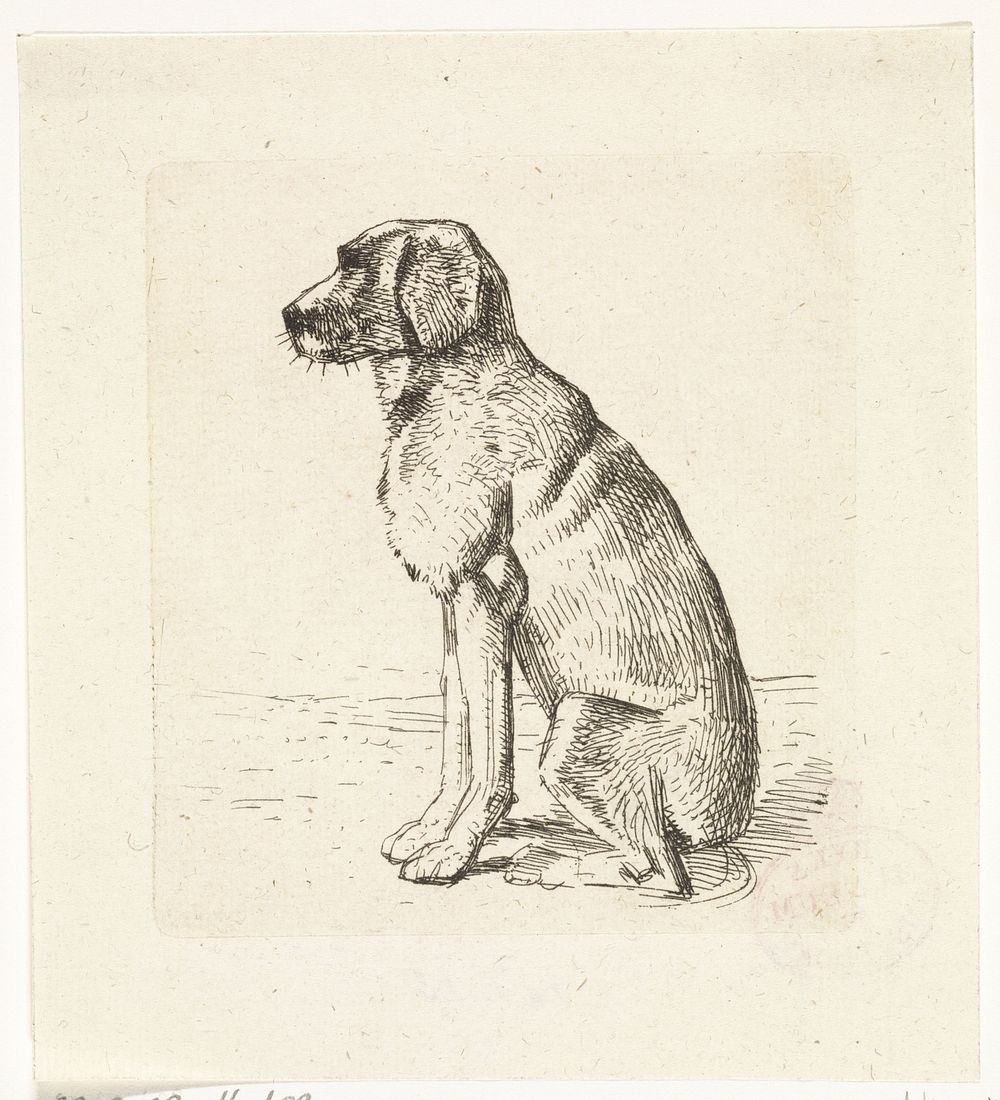 Zittende hond (1792 - 1810) by Wouter Johannes van Troostwijk