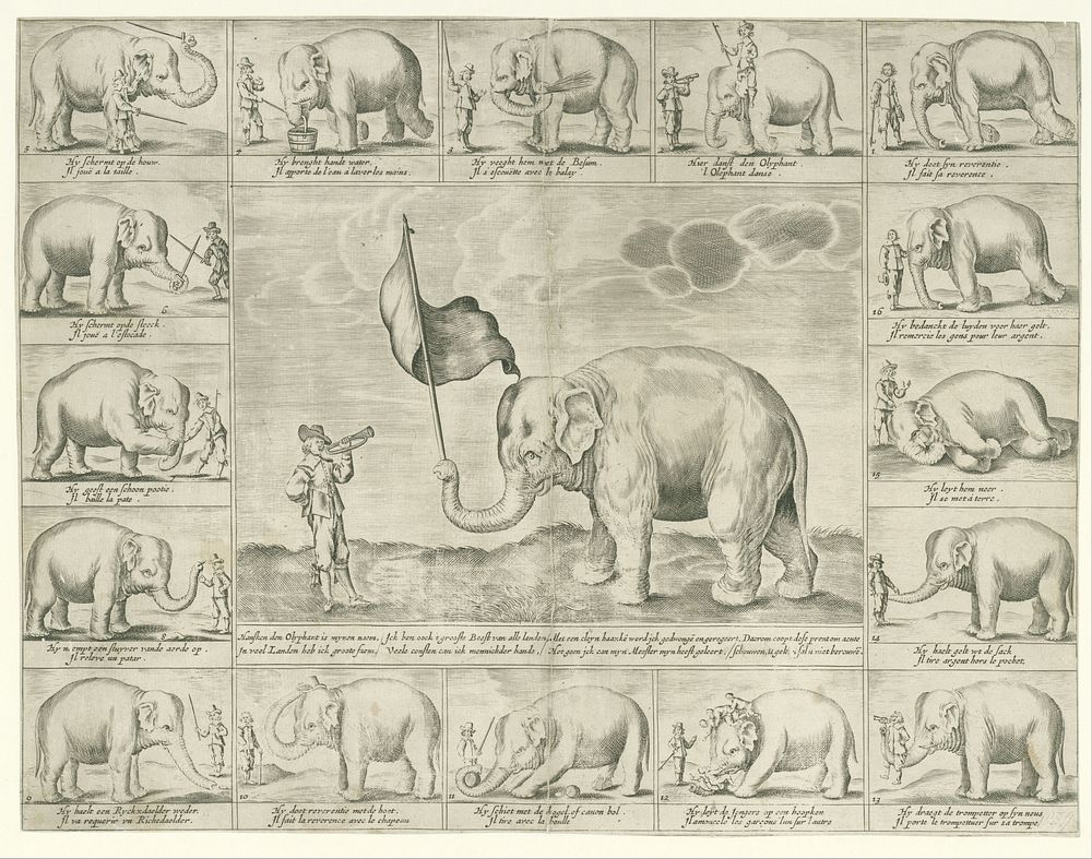 Hansken the Elephant (c. 1650) by anonymous