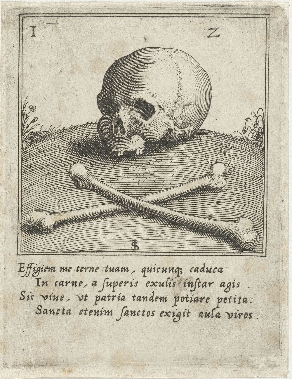 Vanitasvoorstelling met een schedel en twee beenderen (1560 - 1620) by Johann Sadeler I and Justus Sadeler
