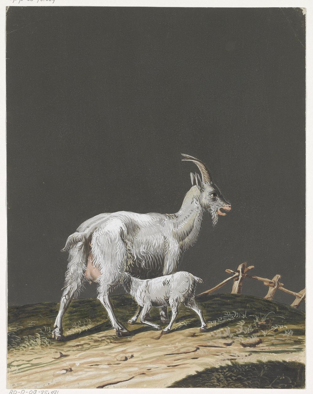 Geit met zogend jong (1700 - 1800) by anonymous