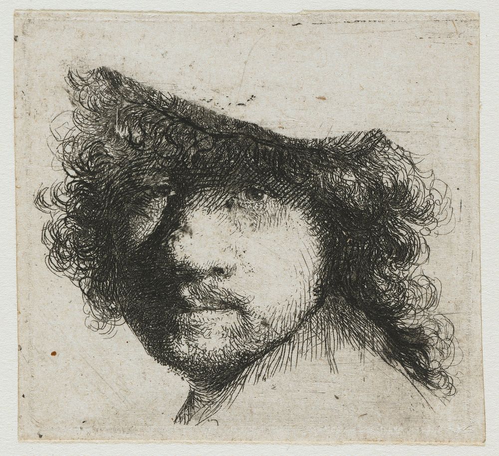 Sheet of studies: head of the artist (1632) by Rembrandt van Rijn and Rembrandt van Rijn