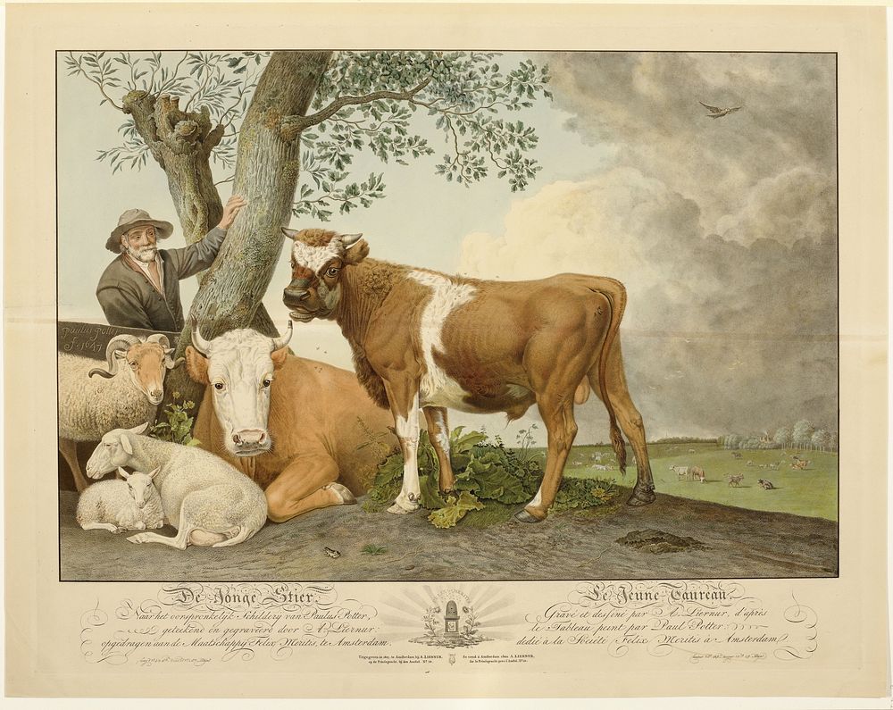 De Stier (1805) by Alexander Liernur, Paulus Potter and Alexander Liernur