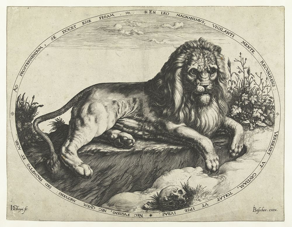 De leeuw (1588 - 1592) by Jacques de Gheyn II, Heyman Jacobi and Joos de Bosscher