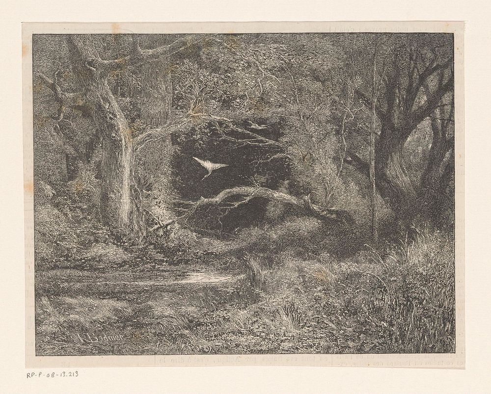 Boslandschap met een vliegende reiger (1872) by Karl Bodmer