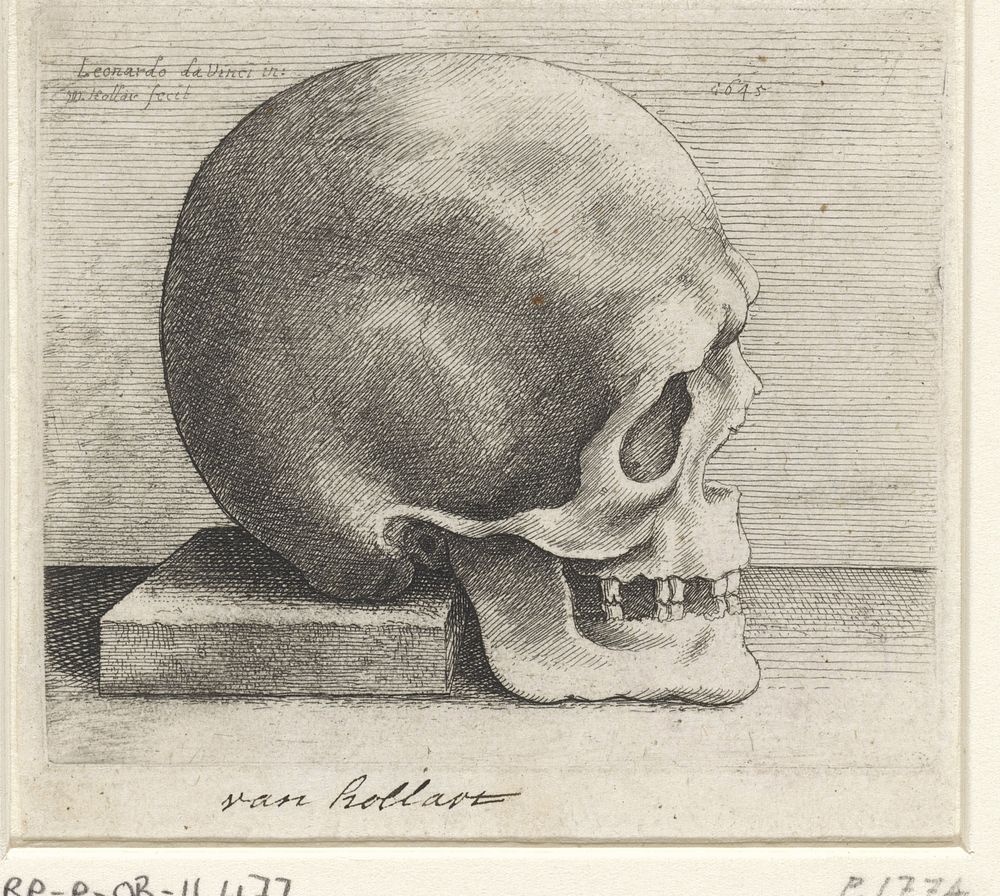 Anatomische studie van een schedel (1645) by Wenceslaus Hollar and Leonardo da Vinci
