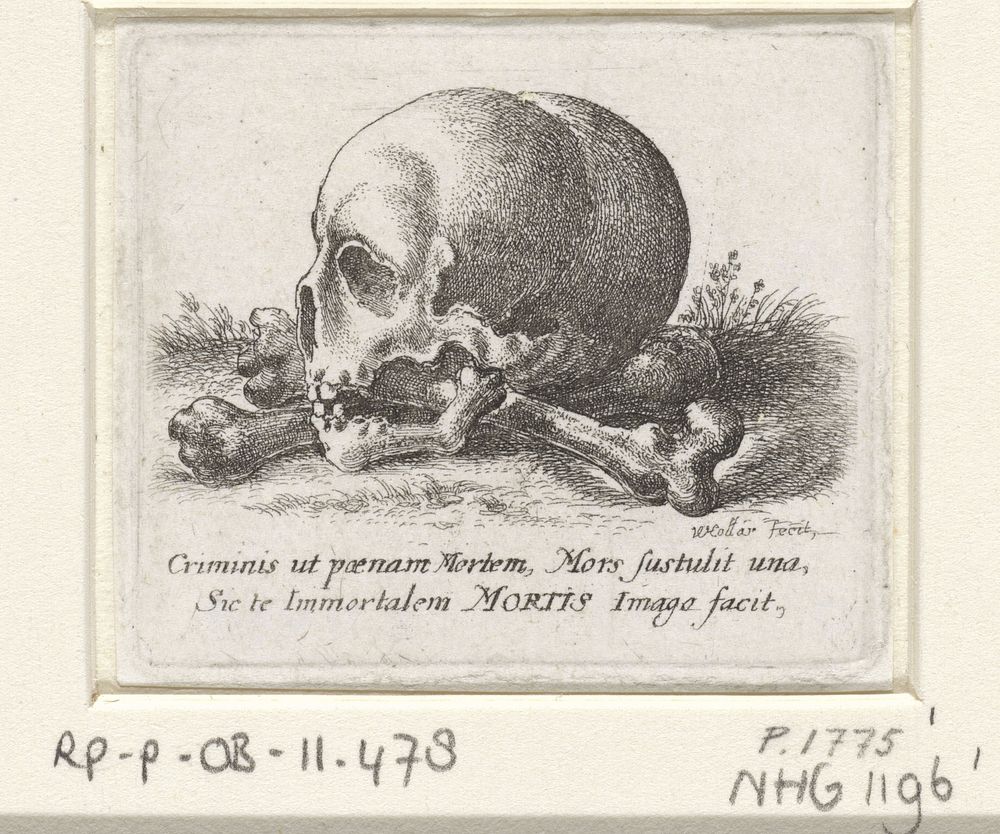 Schedel en beenderen (1652) by Wenceslaus Hollar