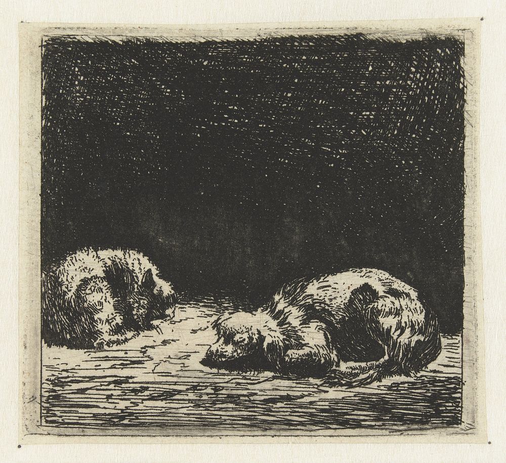 Slapende hond en kat (1652 - 1659) by Karel du Jardin and Karel du Jardin
