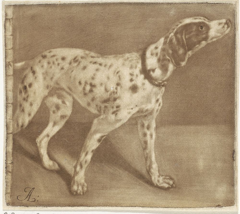 Dalmatische hond (1740 - 1774) by Pieter Anthony Wakkerdak and Jan Asselijn