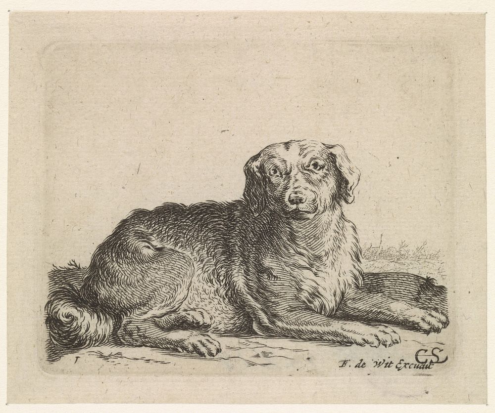 Liggende hond (1630 - 1706) by Cornelis Saftleven and Frederik de Wit