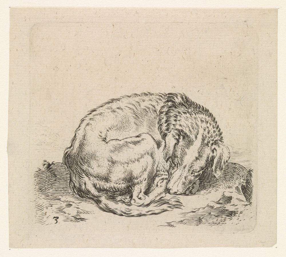 Slapende hond (1617 - 1681) by Cornelis Saftleven