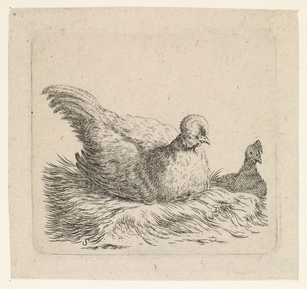 Twee kippen (1617 - 1681) by Cornelis Saftleven