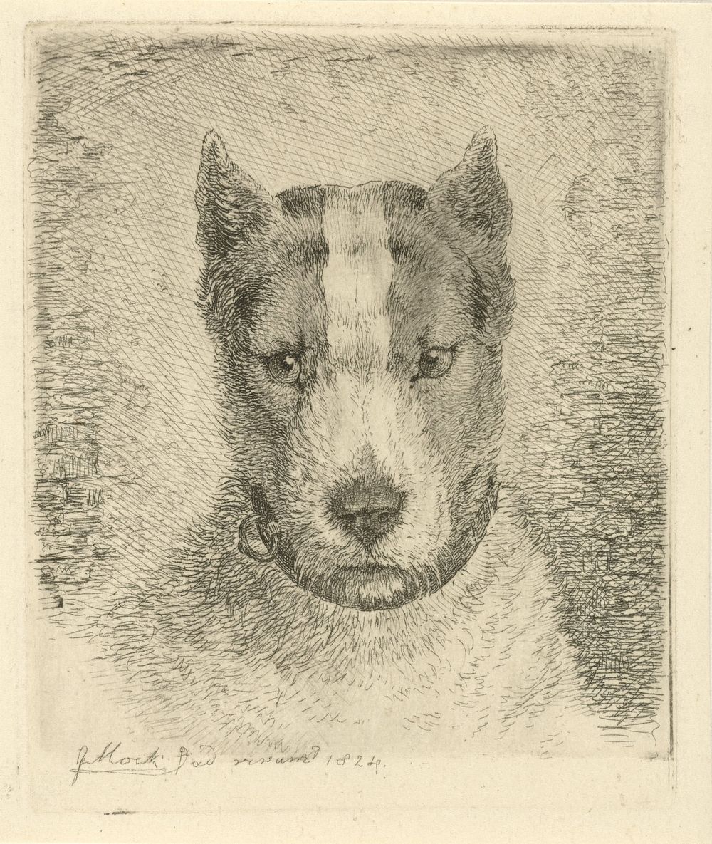 Hondenkop met halsband (1824) by Johannes Mock and Johannes Mock