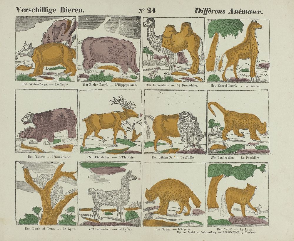 Verschillige dieren. / Différens animaux (1842 - 1856) by P J Delhuvenne and anonymous