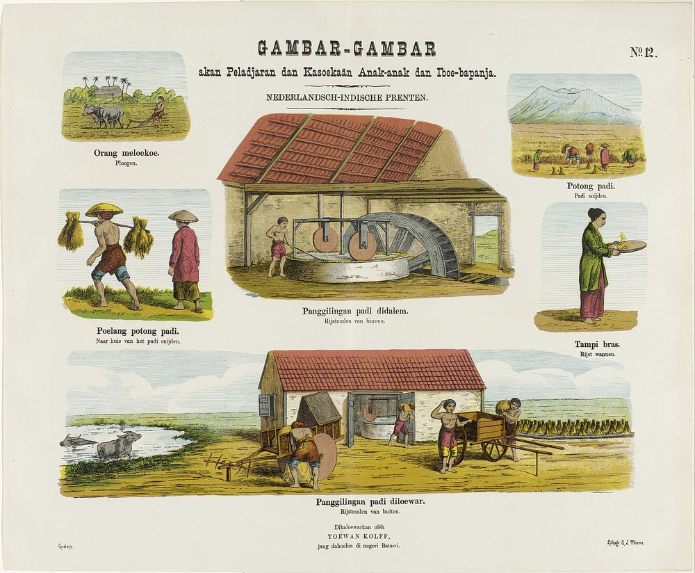 Rijstproductie (1868 - 1881) by Gualtherus Kolff, Gerrit Jan Thieme and jonkheer Josias Cornelis Rappard