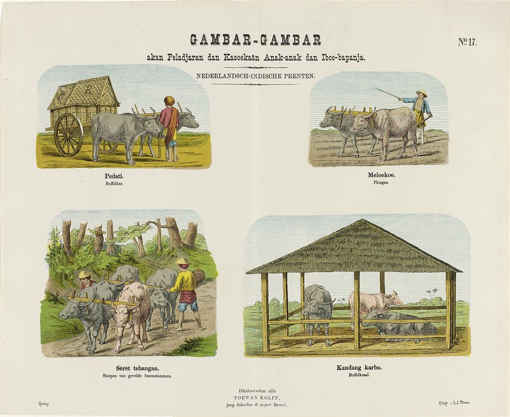 Buffels (1868 - 1881) by Gualtherus Kolff, Gerrit Jan Thieme and jonkheer Josias Cornelis Rappard