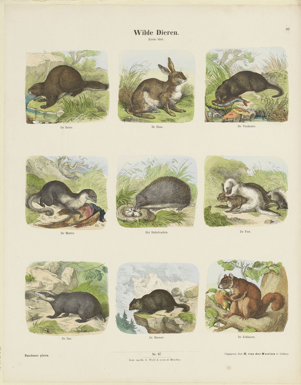 Wilde dieren (c. 1820 - 1843) by Hermann van der Moolen, K Braun en Fr Schneider, dr C Wolf and Sohn and anonymous