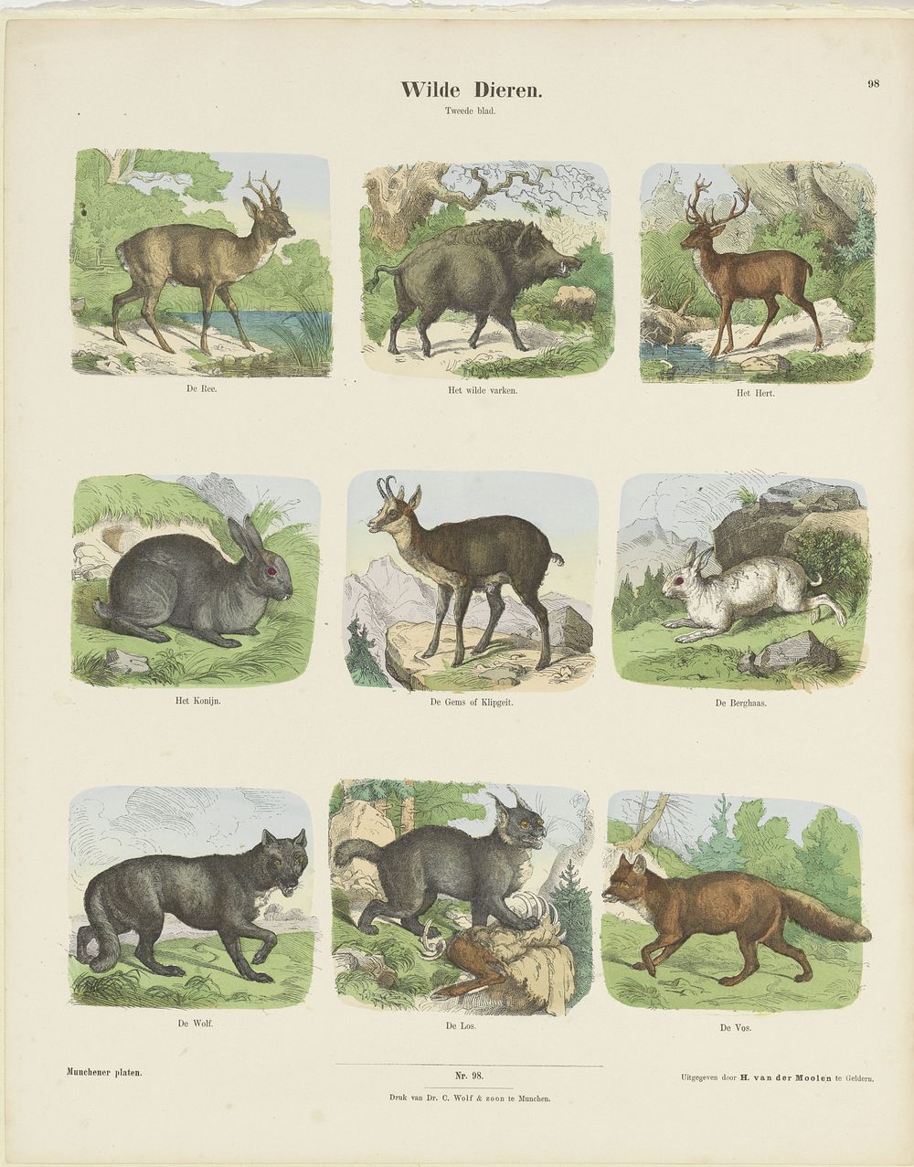 Wilde dieren (1843 - c. 1920) by Hermann van der Moolen, K Braun en Fr Schneider, dr C Wolf and Sohn and anonymous
