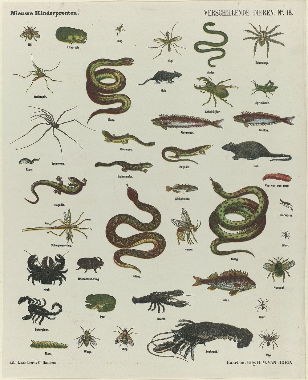 Verschillende dieren (1872 - 1883) by H M van Dorp, L van Leer and Co and anonymous
