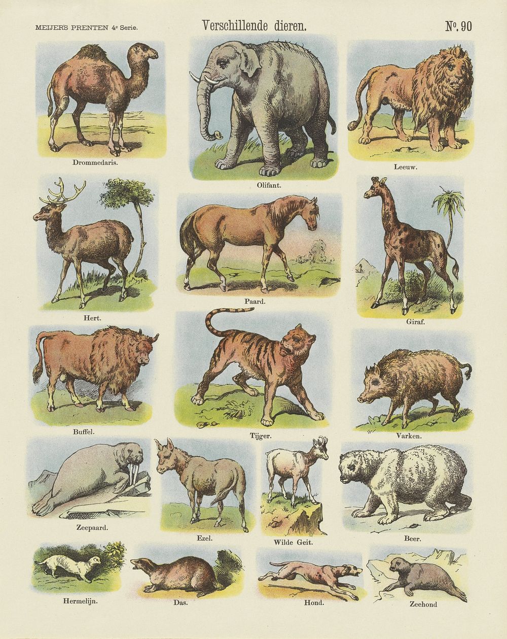Verschillende dieren (1881) by De Ruyter and Meijer and anonymous