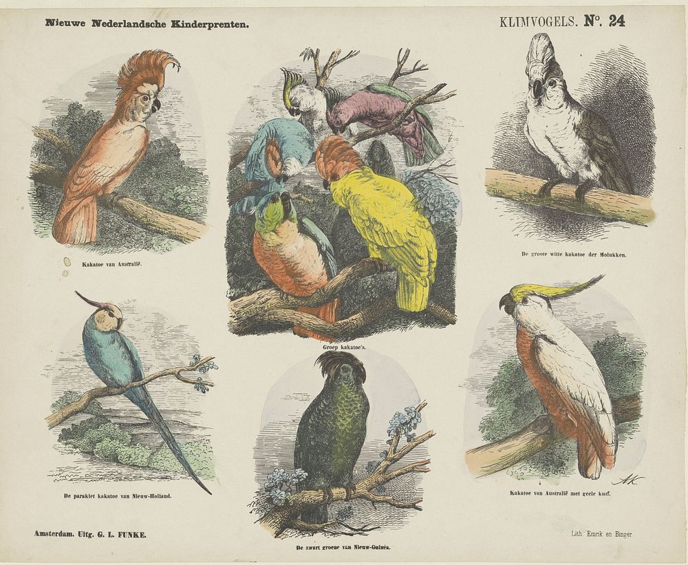 Klimvogels (1865 - 1875) by Monogrammist A K, George Lodewijk Funke and Emrik and Binger