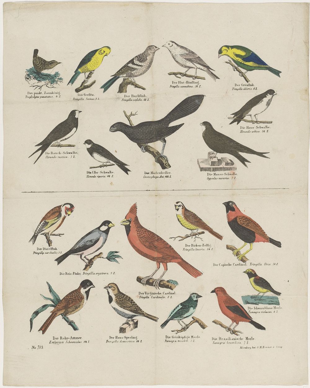 Vogels (1837 - 1868) by G N Renner and Co and anonymous