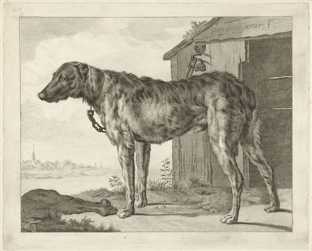 Hond (1768 - 1796) by Pieter de Mare, Abraham Delfos and Paulus Potter