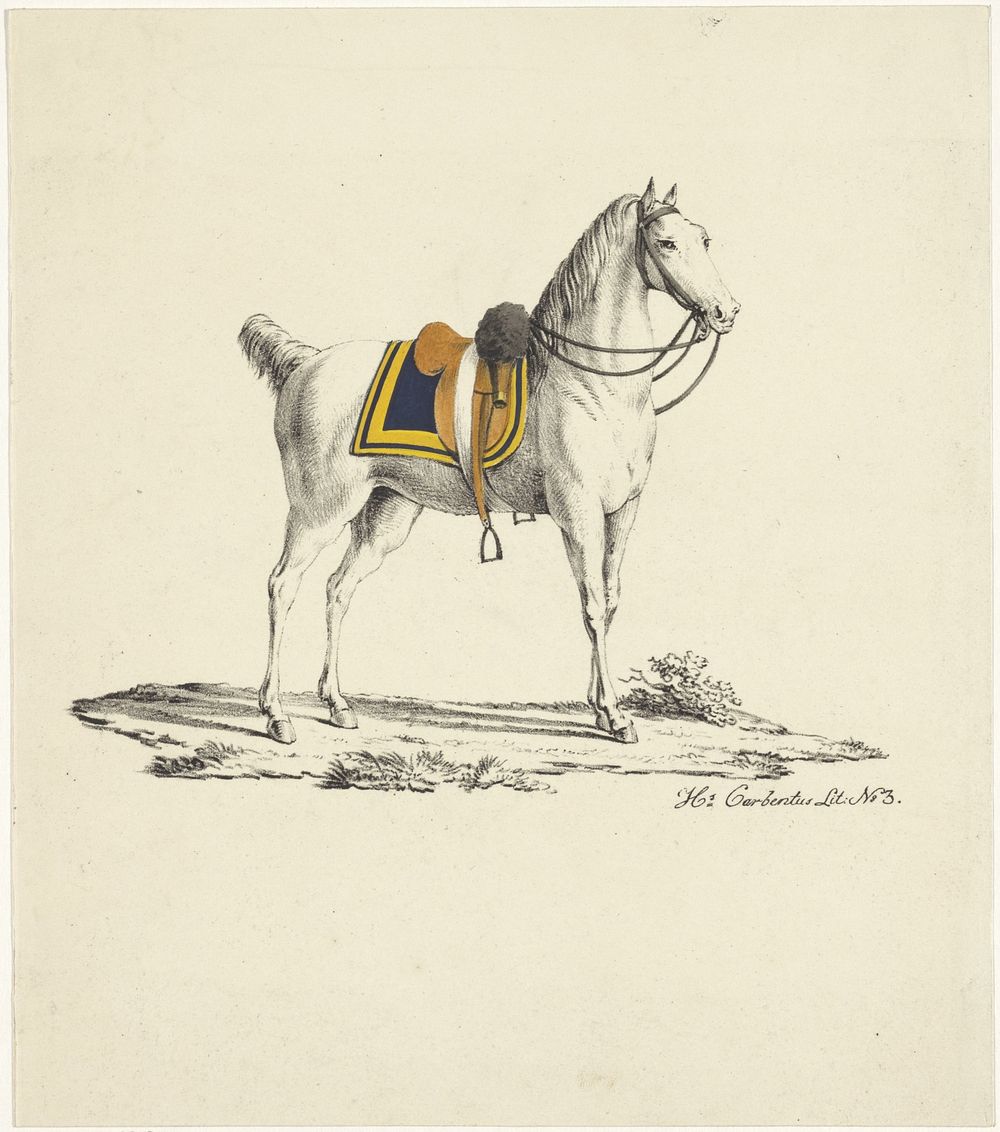 Paard met zadel en hoofdstel (1809 - 1854) by Hermanus Carbentus